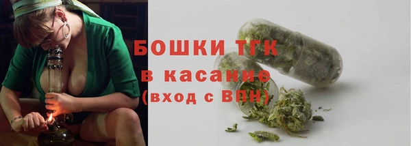 тгк Богородицк